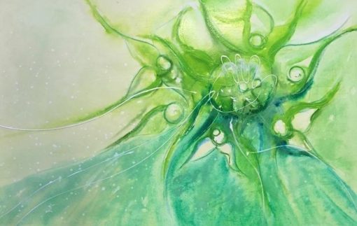 Midori Magic